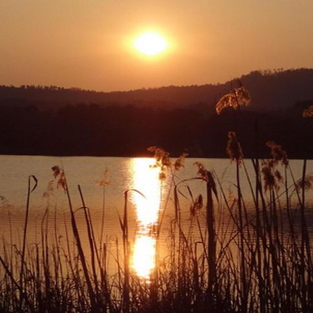 Ilsenhof Am Turnersee Obersammelsdorf Екстер'єр фото