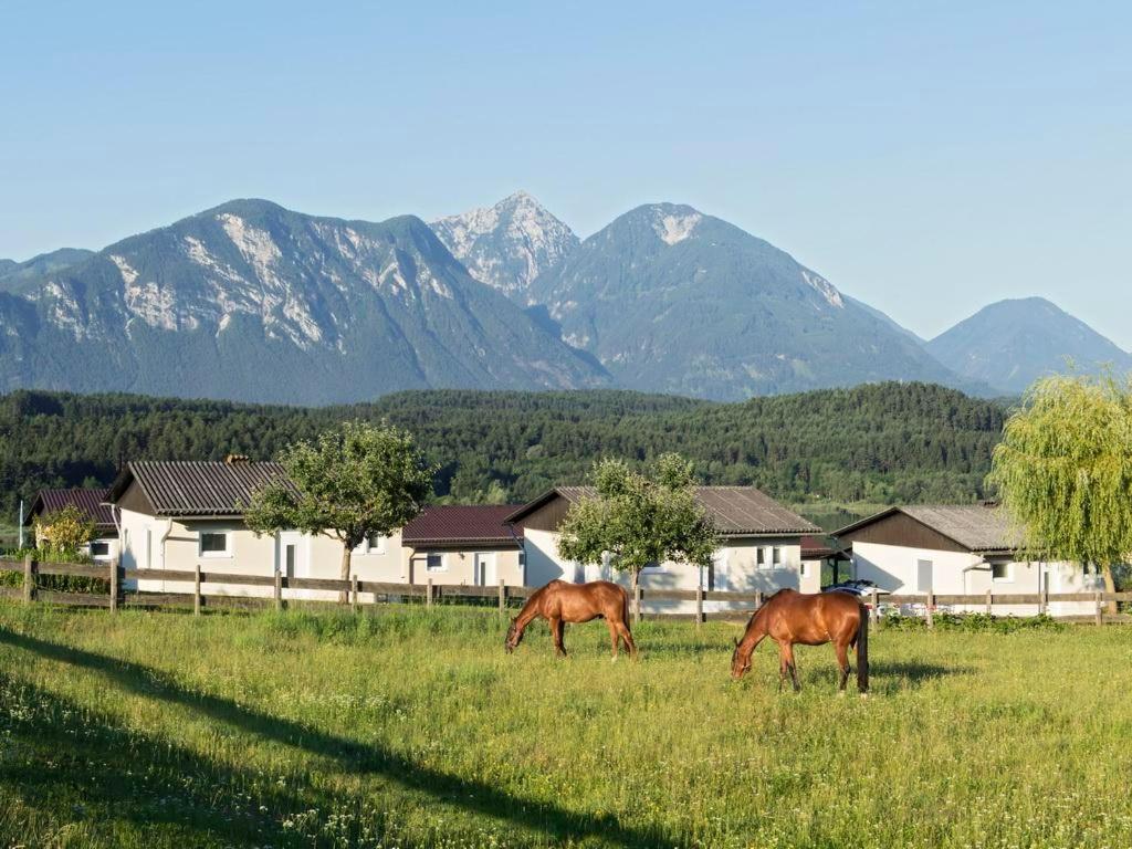 Ilsenhof Am Turnersee Obersammelsdorf Екстер'єр фото